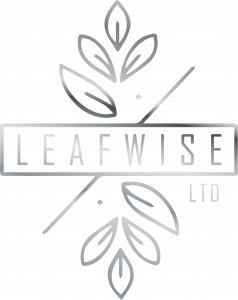 Leafwise Ltd based on the intuitive wisdom of a plant to grow towards the light is the metaphor for the company ethos