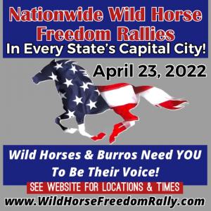Nationwide Wild Horse Freedom Rallies