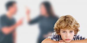 Florida Custody Law