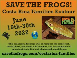 Costa Rica Wildlife Tourism