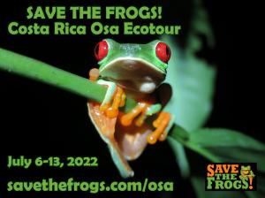 Costa Rica Wildlife Travel & Photography