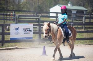 Person riding a horse