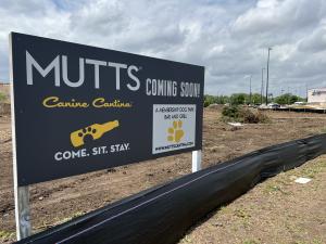 Austin's best chicken sandwich is Coming Soon along with the best place to watch sports in Austin and a great place to meet other people in Austin