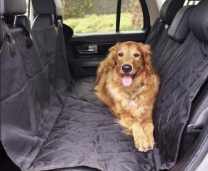 A dog sitting on a cover inside a car