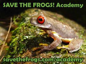 Save The Frogs Academy online courses