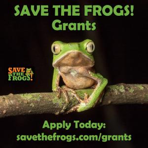 Save The Frogs Grants & Awards