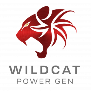 Engines LPG LLC DBA Wildcat Power Gen Launches Wildcat Emergency Services (WES) Division