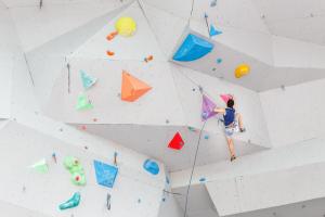 Climbing Gym Market