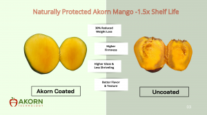 Mango with Akorn coating compared to uncoated mango
