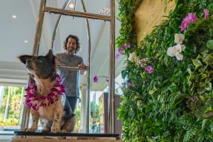 Maui Humane Society shelter dog escorted on baggage cart at Four Seasons Resort Maui