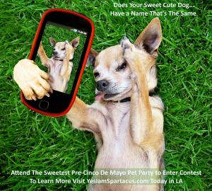 Recruiting for Good sponsors The Sweetest Pet Contest Ever...Yes, I am Spartacus...Best looking Dog with the Sweetest name wins $100 Love to Shop for Good Gift Card #sweetestdogcontest #lovetoshopforgood www.YesIamSpartacus.com