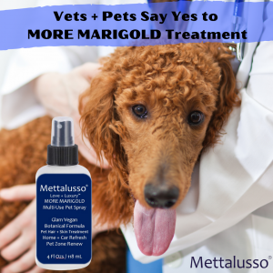 MORE Marigold Vegan Spray Conditioner For Pets and Home by Mettalusso and Founder Christine C. Oddo