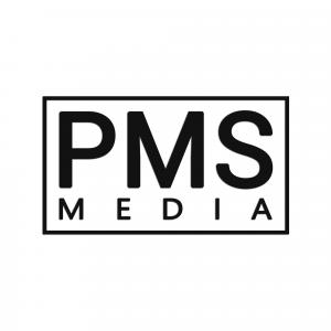 MEDIAPMS Company supports talented artists in all styles of music