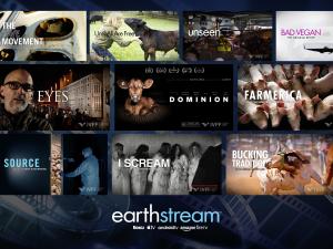 A collage of films available from the IVFF streaming in EarthStream