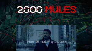 Dinesh D'Souza 2000 Mules Movie