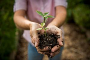 Safeguarding and Improving Clearwater for Arbor Day