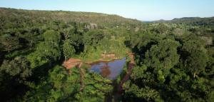 The lush landscape , watering hole, and rescued elephants at Elephant Sanctuary Brazil