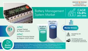 Global Battery Management System Market Growth and Forecast Report, 2030