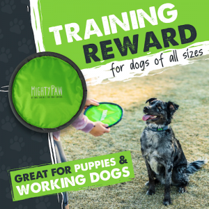 Use Mighty Paw's dog frisbees as fun training rewards for puppies, adult dogs and working dogs