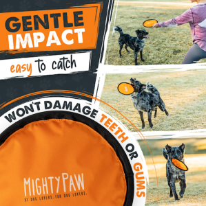 Mighty Paw's dog frisbee has a gentle impact on your dog's gums and teeth