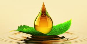 Bio-Lubricants Market