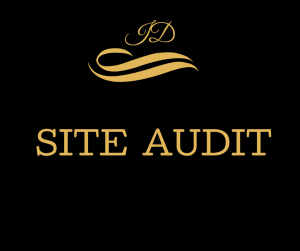 site-audit-iana-dixon-seo-services