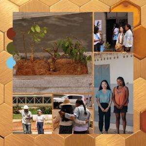 Bougainvillea flower plant, students, and team in Fianarantsoa, Madagascar.