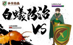 滅蟲, 滅蟲公司, 滅白蟻