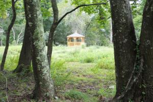 Prudence Memory Forest