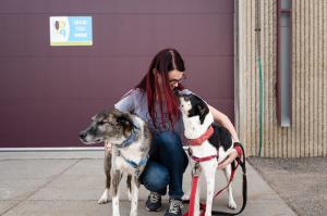 Woman with two dogs