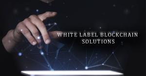 Blockchain App Factory offers World-class Whitelabel Solutions for the Crypto Sphere