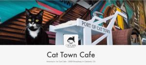 Cat Food Point Acquires CatTownCafe.com