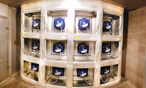 Newton Medical Center