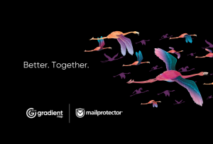 Flamingos flying together in a flock to illustrate that we are working together in the IT Channel