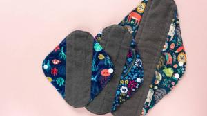 India Reusable Sanitary Napkin Market