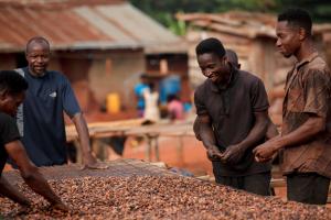 Fairtrade Certified Cocoa Farmer