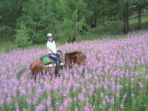 Horse riding expeditions in Mongolia's national parks and mountains with Stone Horse Expeditions, takes you through fields of wildflowers, crossing mountain passes and fording wild rivers. Its adventure travel of a lifetime.