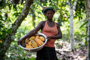 Fairtrade Certified Cocoa Farmer