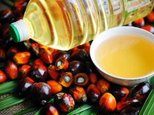 North America Palm Oil Market 2022