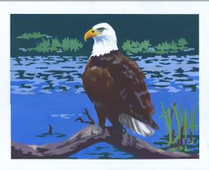 Painting of eagle perched on branch by waterside.