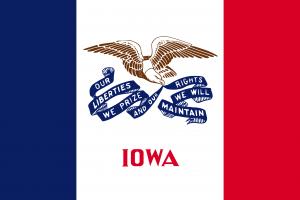 Toothbrush Pillow Press Release State of Iowa Flag