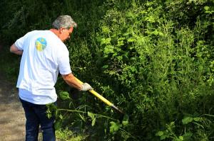 Church of Scientology Seattle’s Environmental Task Force has donated thousands of hours to caring for Kinnear Park