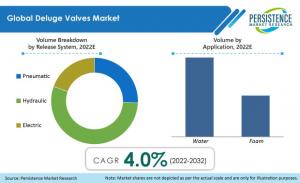 Deluge Valves Market