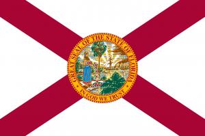 State of Florida flag & Toothbrush Pillow in a press release