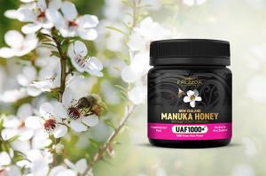 Most Potent Manuka Honey
