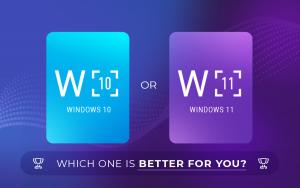 Windows 10 or 11