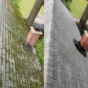 Under Pressure Steam & Clean Roof Cleaning