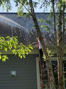 Paul Brothers Softwash Premier Roof Cleaning Service