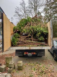 Sasquatch Junk Removal Yard Debris Removal
