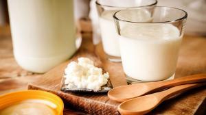 Lactose Free Probiotic Yogurt Market